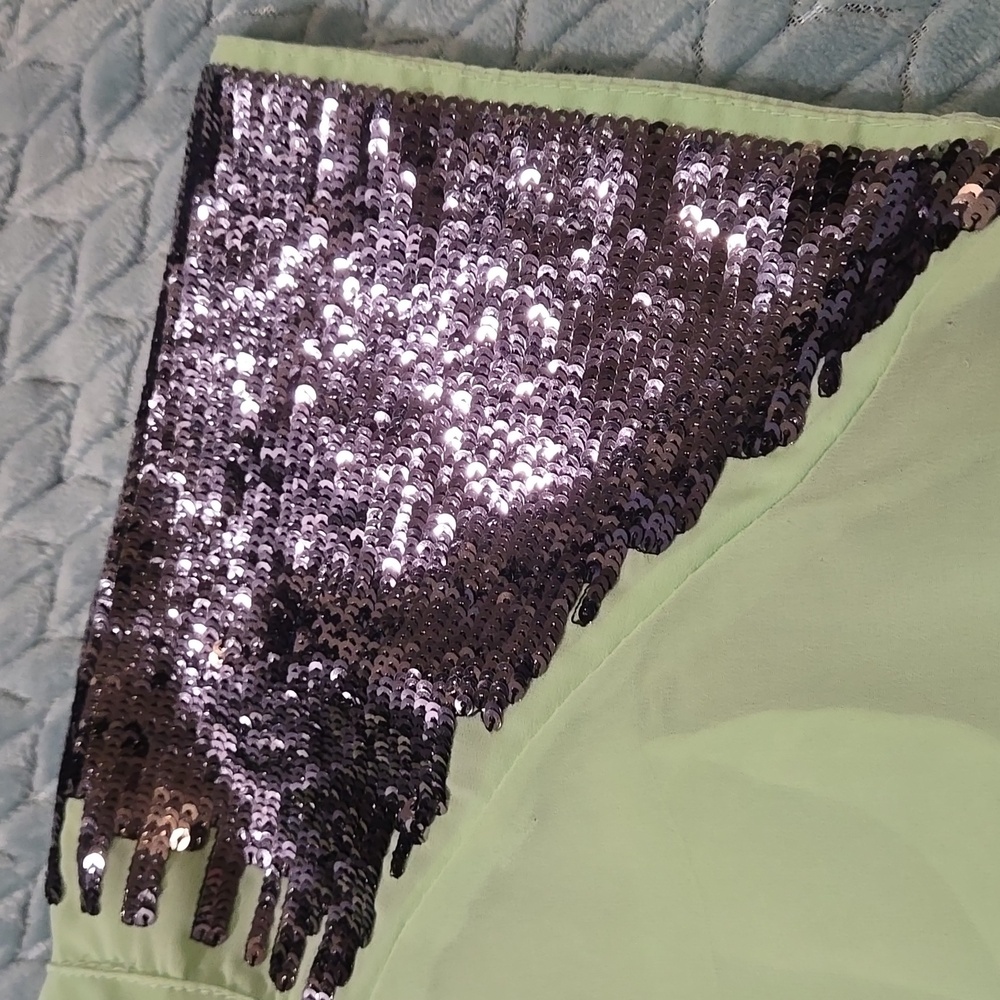 Sheer Green Top with Sequined Sleeves - Picture 2 of 6